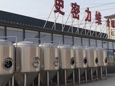 西平精酿啤酒设备厂—如何判断精酿啤酒设备的密封件需要更换？